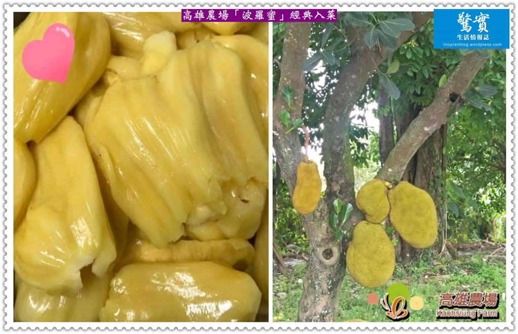 高雄農場「波羅蜜」經典入菜／生活情報