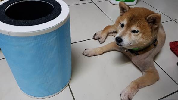 【空氣清淨機】【男孩向】VIQUE,一款DIY手作的清淨機,培養愛與耐心,增進親子間情誼的好時機。(情感加速v.s.離婚分手用必殺器~)