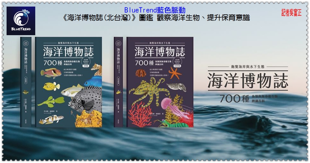 《海洋博物誌(北台灣)》圖鑑 了解海洋生物、提升保育意識＠生活情報