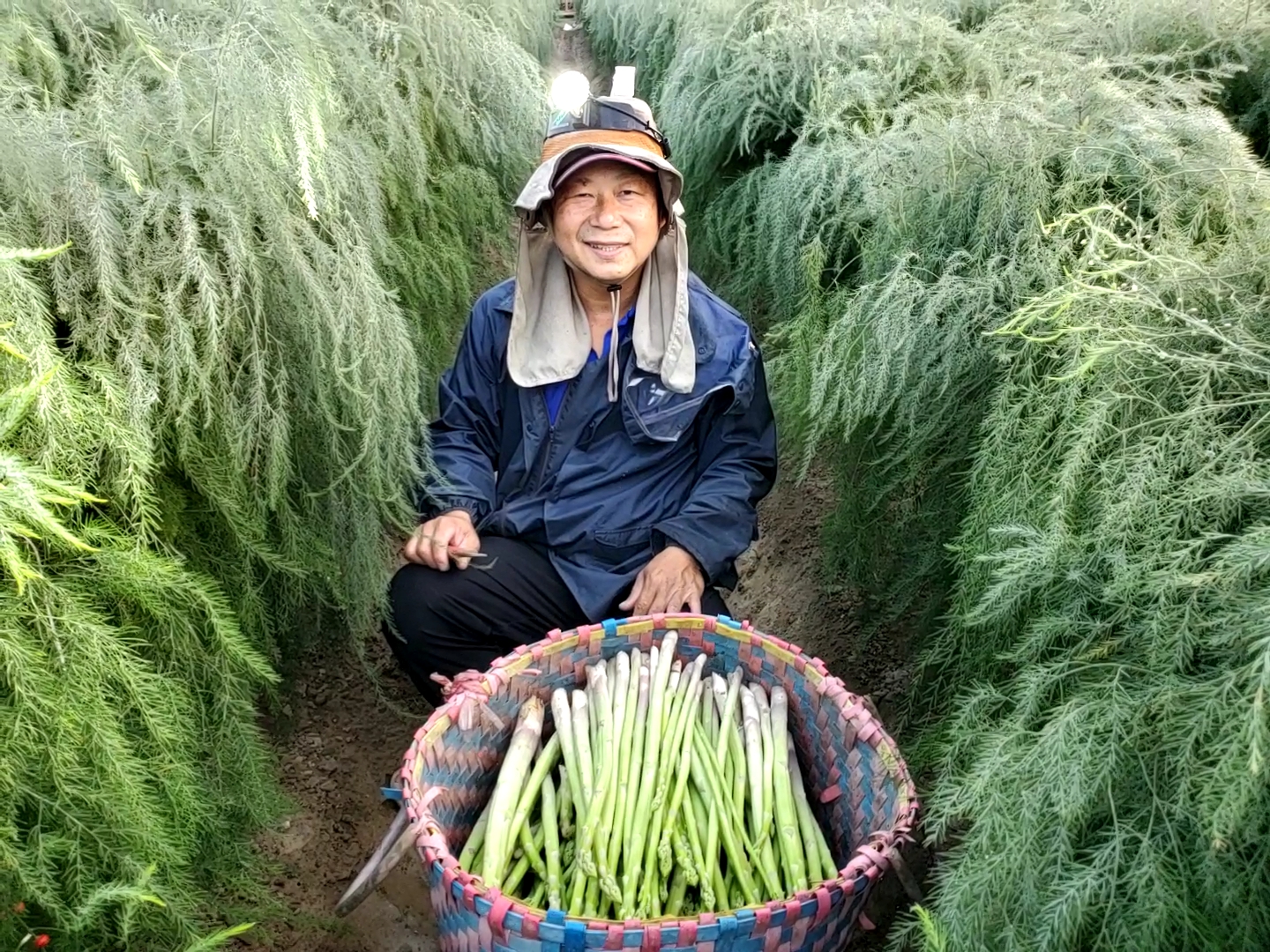 台南市西港區 黃百達 明月「蘆」花，櫻「筍」年光