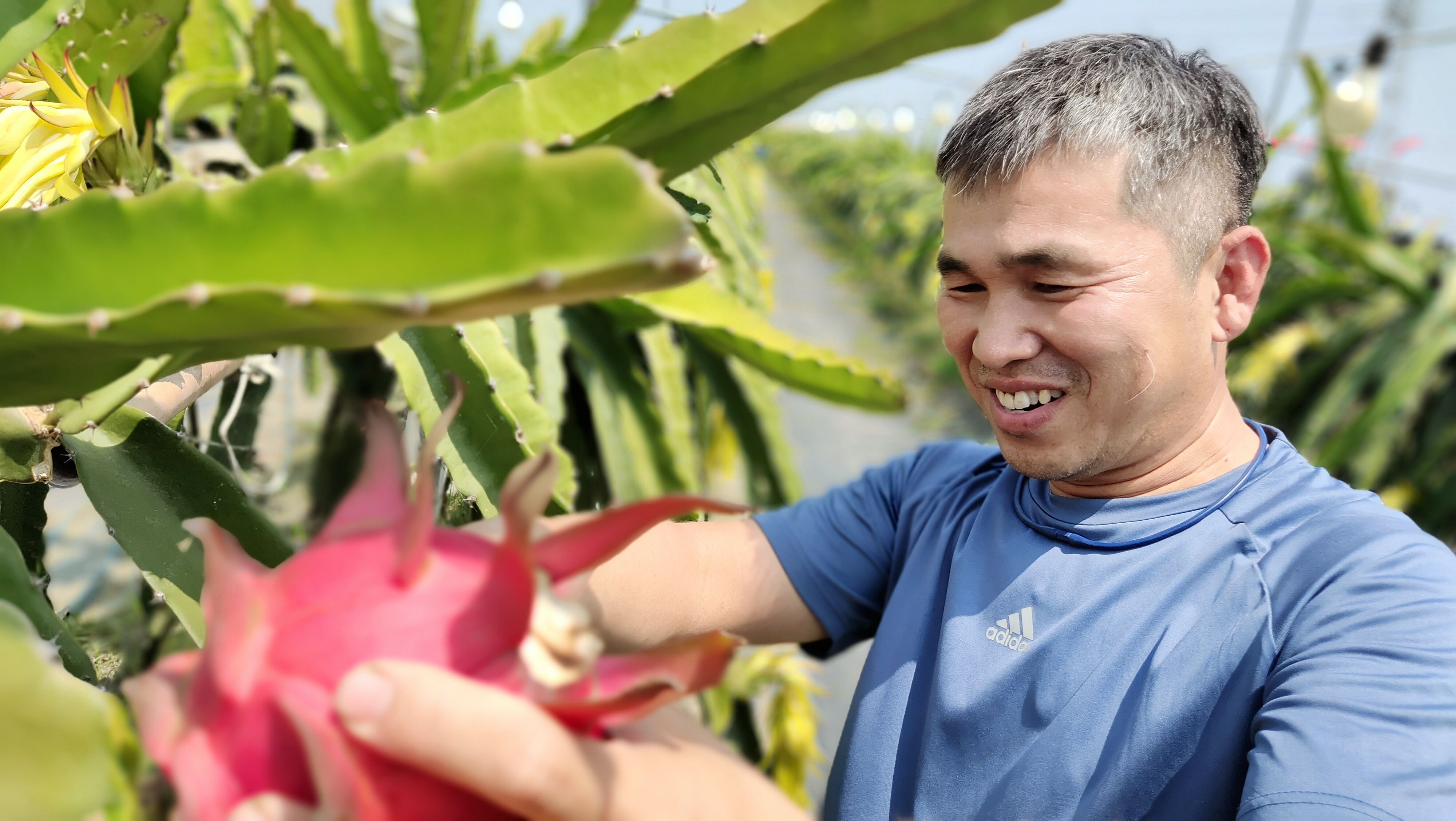 台南市善化區 黃政德「紅」情綠意，掌五「龍」數據力，「果」然不簡單！