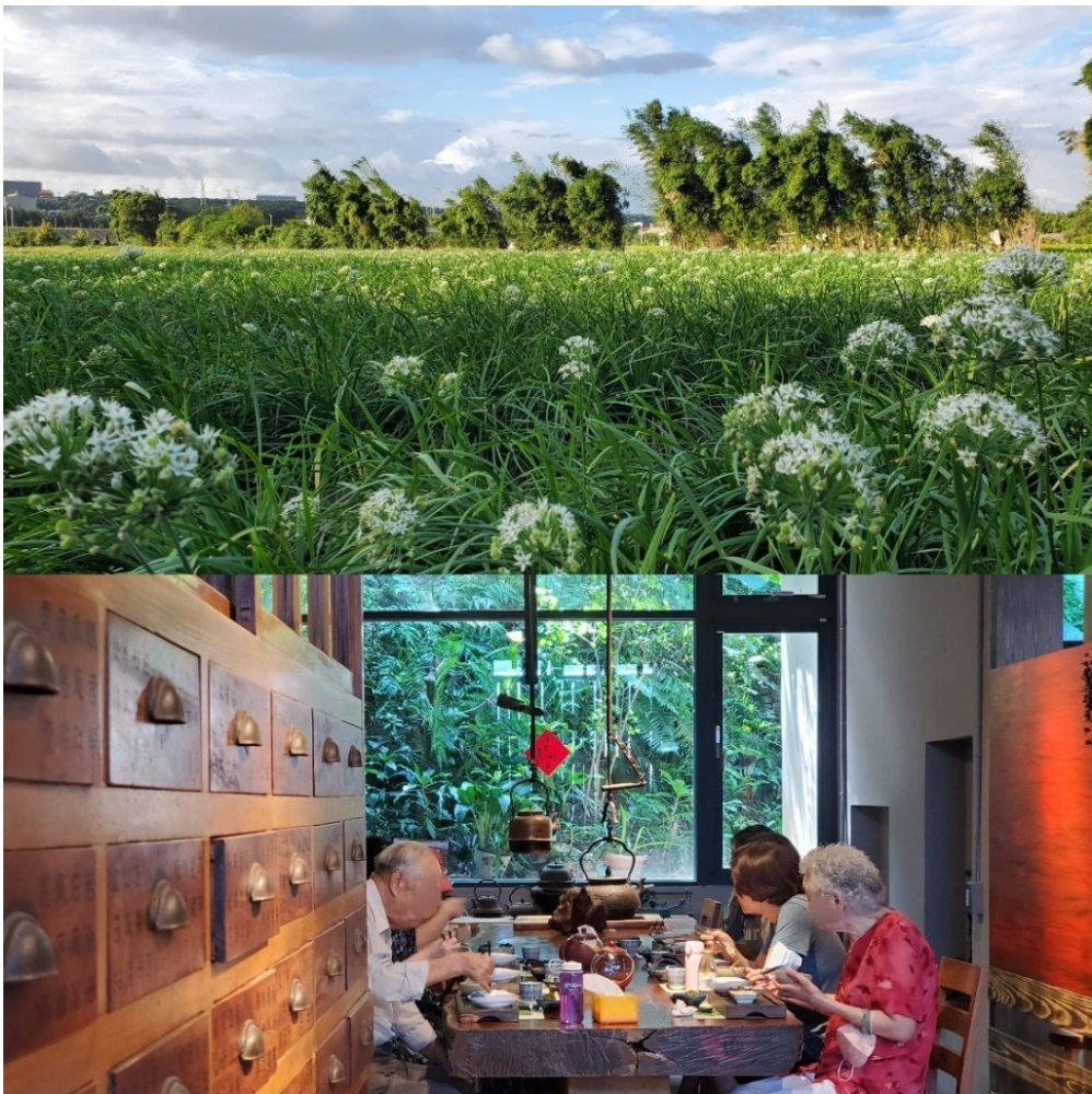 桃園大溪《春草舒願》身在自然中的無菜單蔬食料理，讓你遇見好久不見的自己！