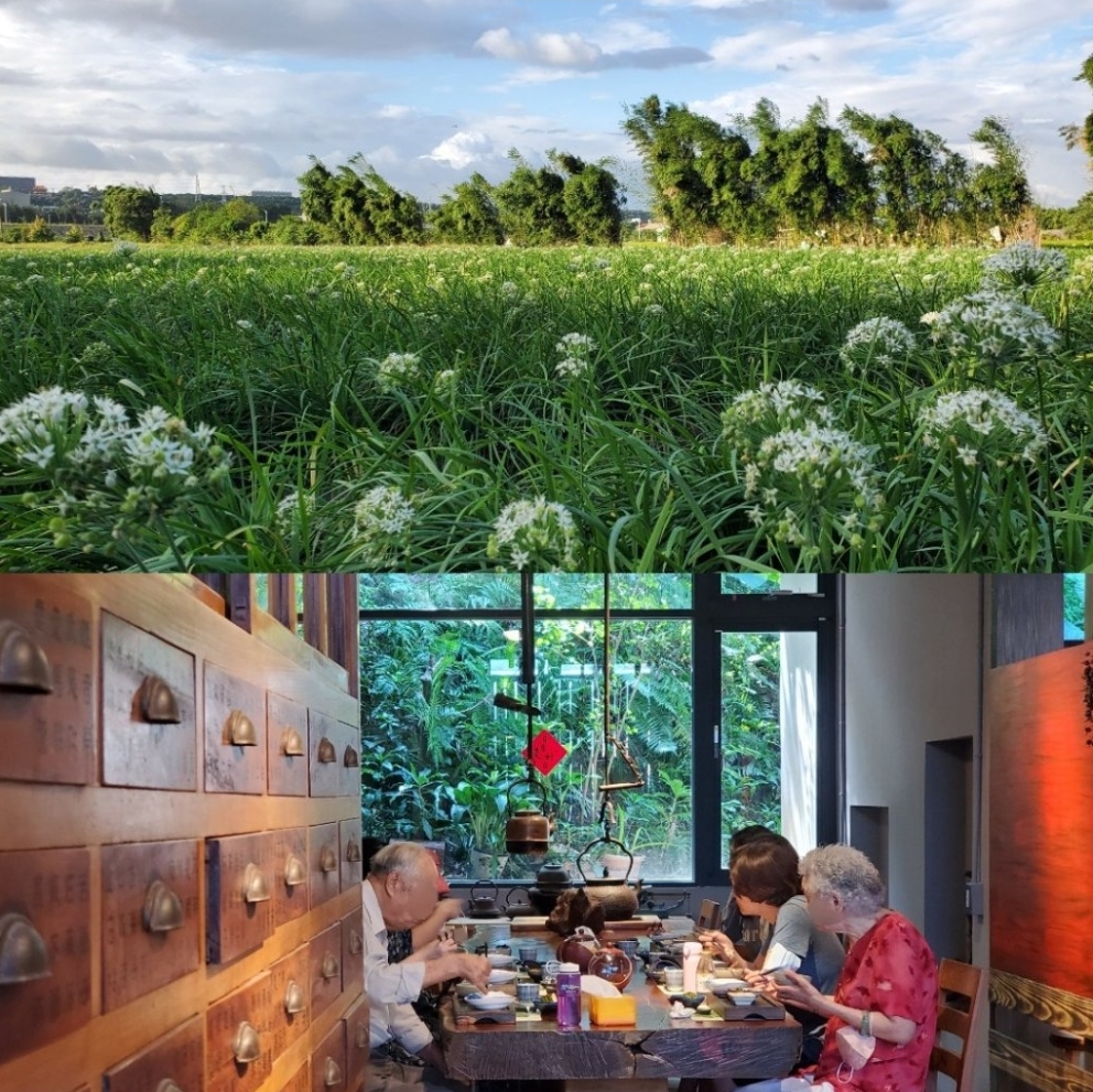 桃園大溪《春草舒願》身在自然中的無菜單蔬食料理，讓你遇見好久不見的自己！